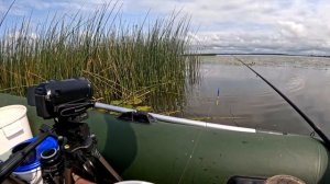 Рыбалка с лодки в камышах !!! РЫБАЛКА на ПОПЛАВОК на Карася!