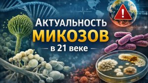 Современные грибковые инфекции: приоритетные патогены ВОЗ и новые вызовы в 21 веке