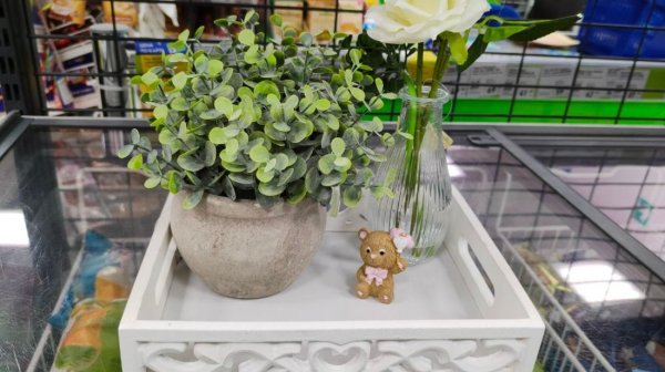 ❤️Фикс Прайс УДИВИТЕЛЬНЫЕ  НОВИНКИ🥰Что нарисовала Fix price  февраль  2026