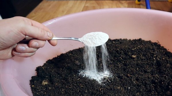 Молотая скорлупа от яиц в грунт!!! Рассада будет огонь!!!