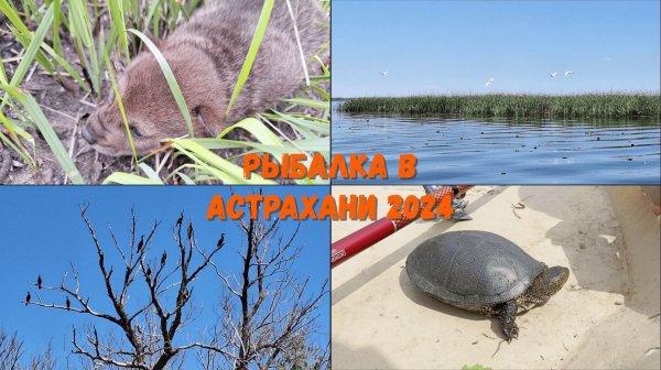 Астрахань 2024