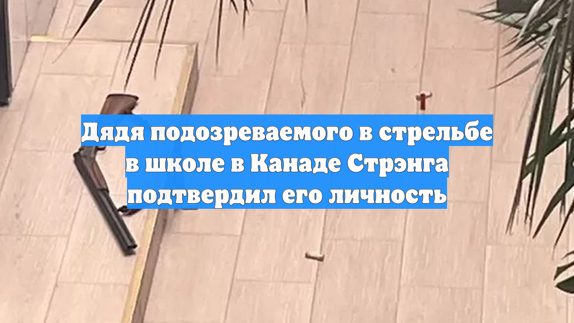 Дядя подозреваемого в стрельбе в школе в Канаде Стрэнга подтвердил его личность смотреть онлайн