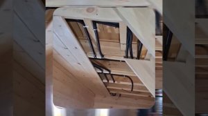 1000048377.mp4 (Собака наблюдает за устройством лестницы на 2 этаж в доме А-фрейм)