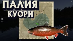 оз.Куори-палия обыкновенная.Руссыкая рыбалка 4