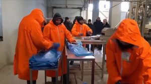 Илья Шестаков: модернизация портовых мощностей будет способствовать развитию рыболовства на Каспии