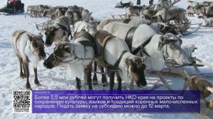 ДАЙДЖЕСТ «СЕВЕРНОГО ГОРОДА»,11.02.2026