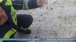 10.02.2026 Сахалинец «скинул» подозрительный свёрток при виде сотрудников ДПС