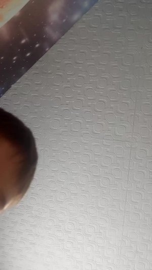 обнова в маине