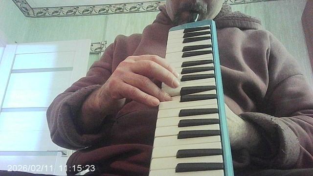 Мелодион: "Во саду ли в огороде"