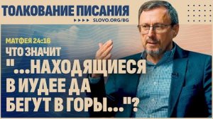 Что значит «...находящиеся в Иудее да бегут в горы...»? | "Библия говорит" Алексей Коломийцев