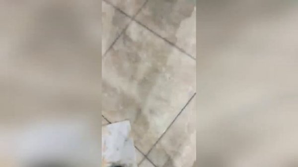 #смешныевидео -918