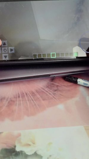 играю в майнкрафт