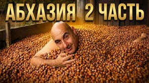 Абхазия 2025 | Рыбалка на кефаль | Фундук | Море | 2 часть