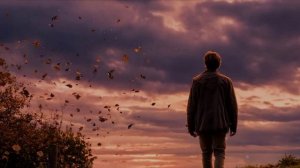 Ивы плакучей листопад запоздалый