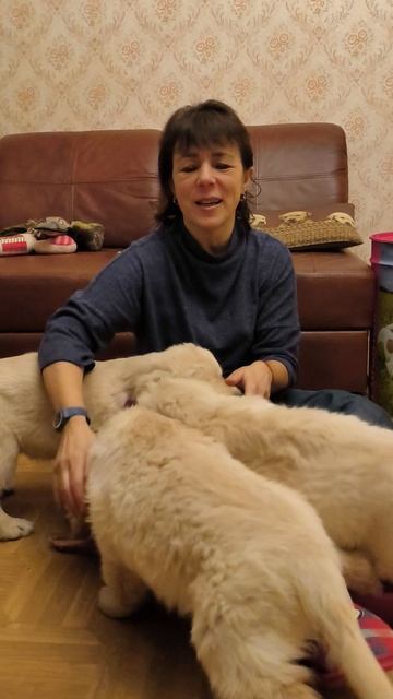 щенкам 2 месяца