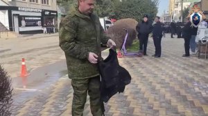 Появились кадры с места стрельбы в техникуме Анапы.