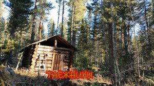 Таёжникам - промысловикам посвящается!