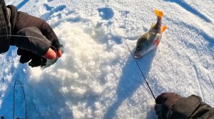 Я ИХ НАШЁЛ и ВАМ ПОКАЖУ. ВОТ ЭТО КАБАНЫ на балансир ТУТ КЛЮЮТ. Рыбалка зимой в 2026