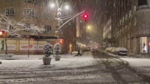 Прогулка по заснеженному Нью-Йорку ❄️☃️