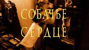 Собачье Сердце (Vikentiy Sound Video Edit) (2024)