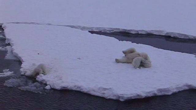 Антарктида - 3 смотреть онлайн