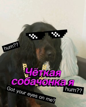 Хочу пожрать 😊👌