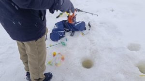 VID_20260211_211045_560