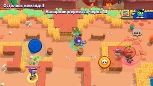 браво старм