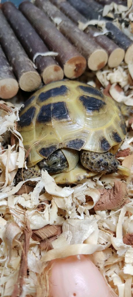 утро смотреть онлайн