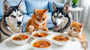 😹Мама кошечка со своим маленьким сыночком и их ушастыми друзьями едят вкусную и полезную еду🔥