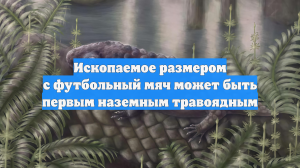 Ископаемое размером с мяч может быть первым травоядным животным на Земле