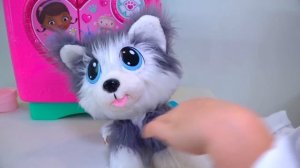 Настя и её новые игрушечные собачки с блохами