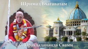 Помощь   11.02.2026 || Шримад Бхагаватам 11.5.49 || Е.С. Прахладананда Свами