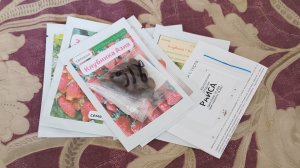 🍓Хапнули на валберес семена