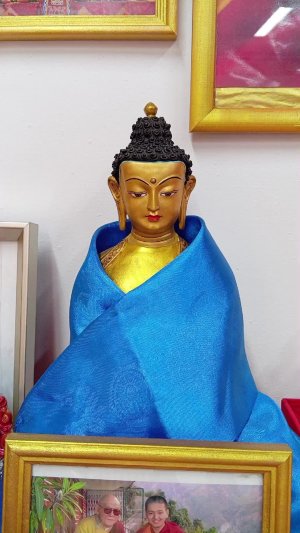 трома нагио