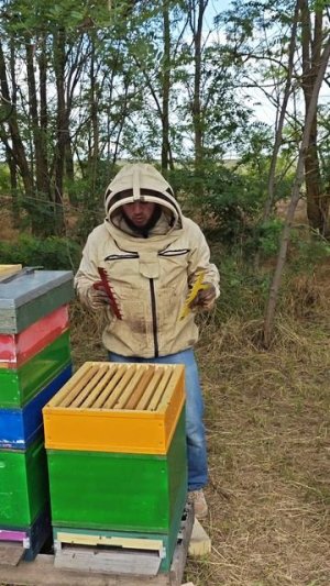 Ах уж этот Гофман.