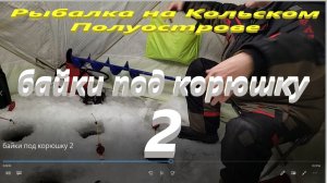 Разговоры о рыбалке. Ловим корюшку и травим байки на озере Имандра.