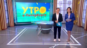 Утро в Петербурге 11 февраля