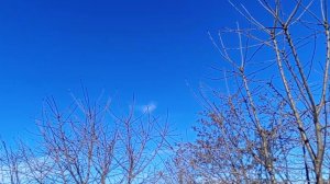 Одна дома...обычный день.