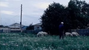 Люди долгожители.