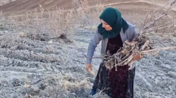 Кочевая жизнь# Иран# 185 часть