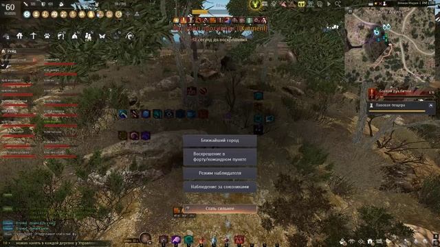 тамер тамер тамерок