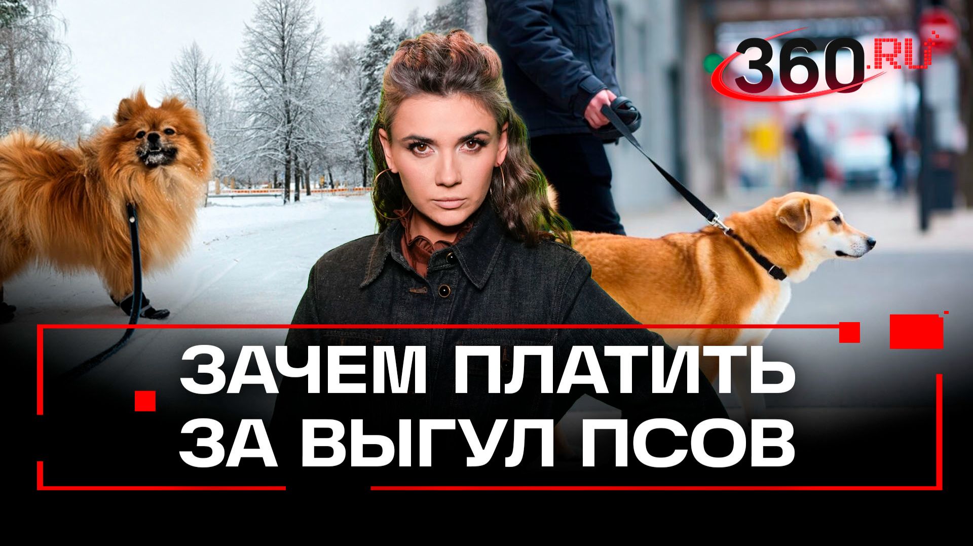В России предлагают ввести налог на выгул собак смотреть онлайн