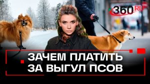 В России предлагают ввести налог на выгул собак