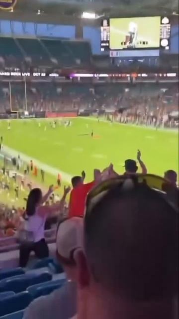 Fearless cat and jubilant spectators/ бесстрашный кот и ликующие зрители. #cat #котофейка #funny смотреть онлайн