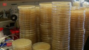 Skillful 2 Listening and Speaking U10 _ Medicine