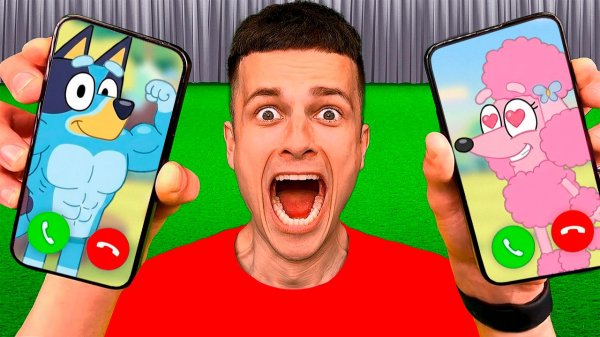 я звоню BLUEY и BINGO в 3:00 ночи !