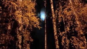 Мхом поростёшь - С.А.