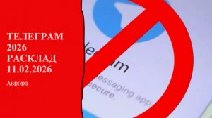 Телеграм 2026 Расклад 11.02.2026