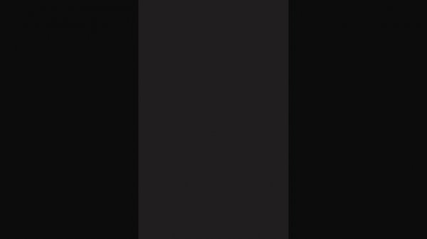 SVID_20260211_223328_1.mp4